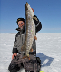 image of large Northern Pike caught using a tip up